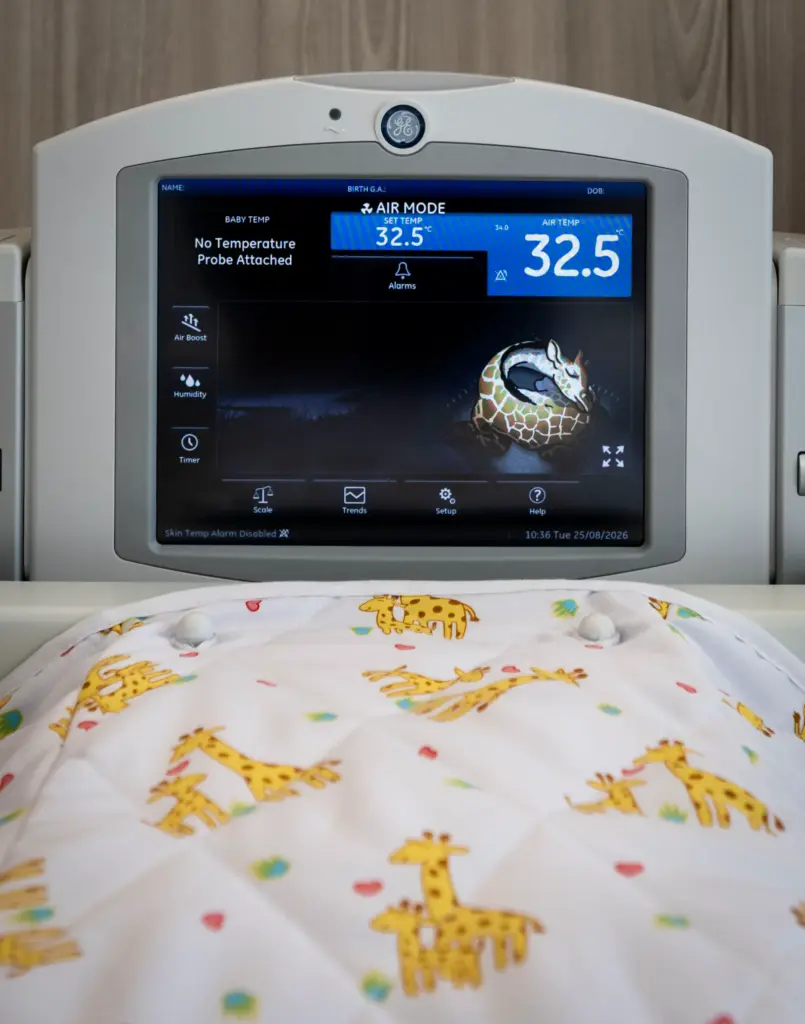 Baby giraffes are the motif in a shared room in...
