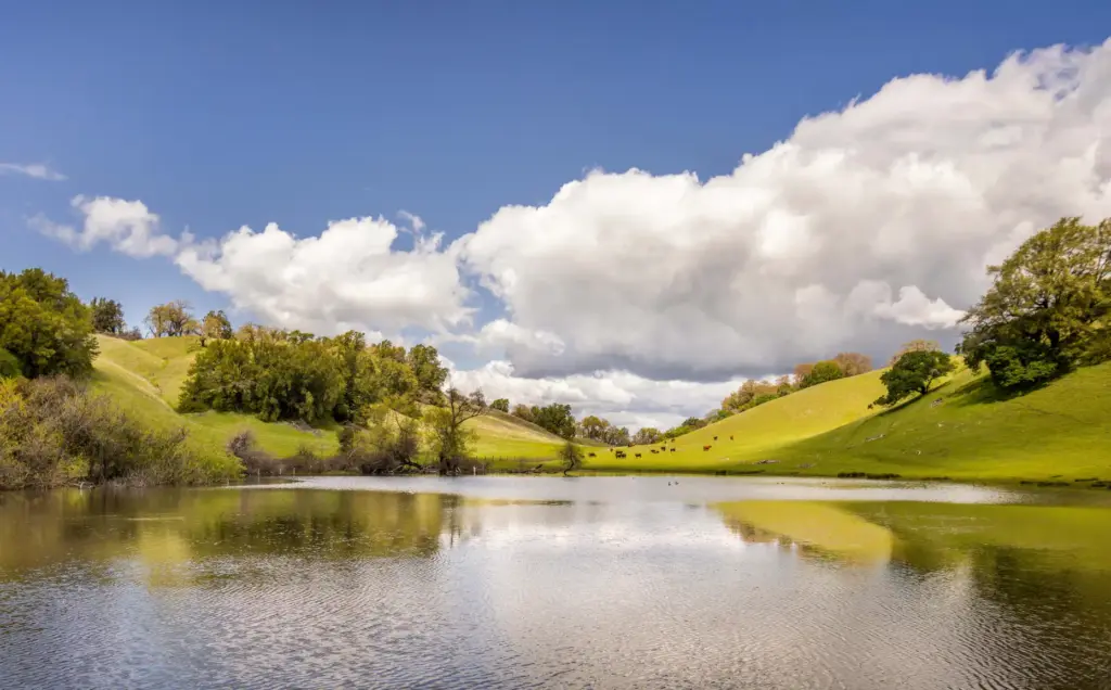 Images of a Sonoma County property owned by Don McKinney...