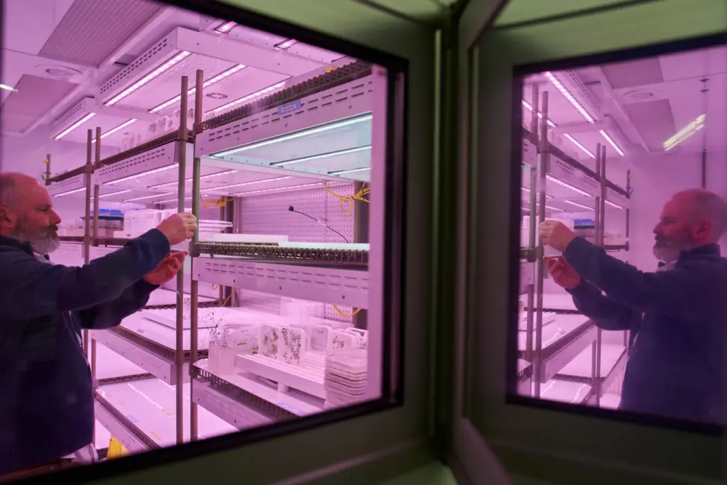 Todd Michael, a research professor at the Salk Institute for Biological Studies, works at his lab.