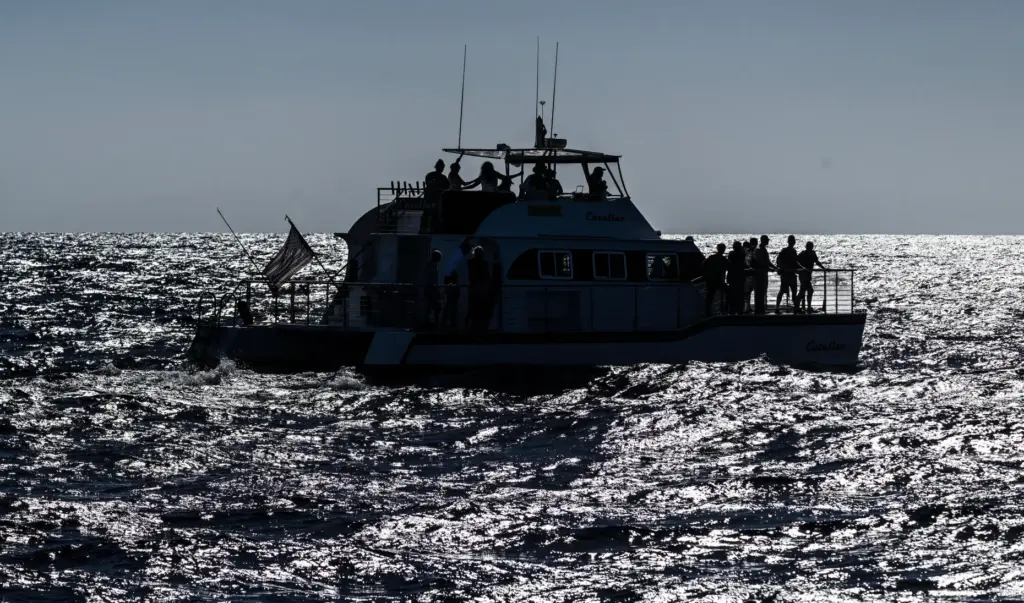 Sightseers aboard a boat from Newport Landing Sportfishing check out...