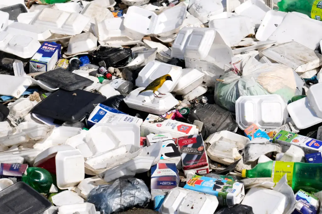 A bird is seen amongst piles of plastic waste and...