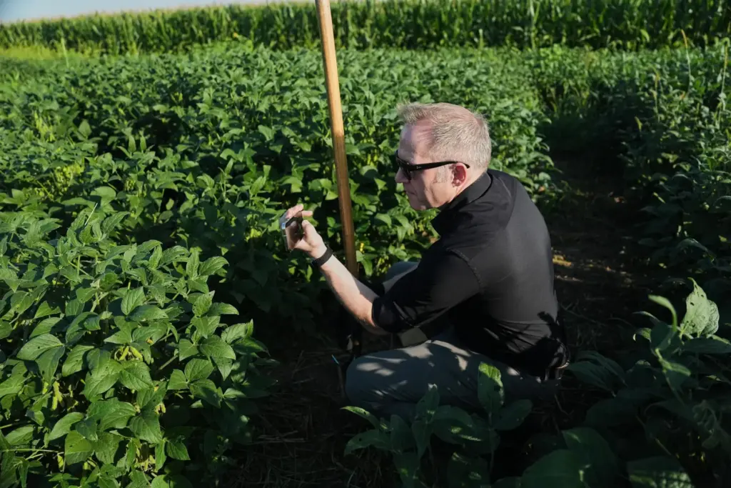 Wolfgang Busch takes a photograph of genetically-engineered soybeans.