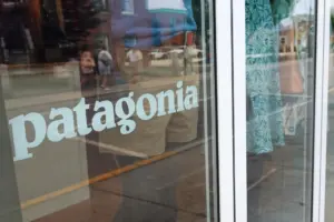 Patagonia offers $100 to customers who help others plan to vote