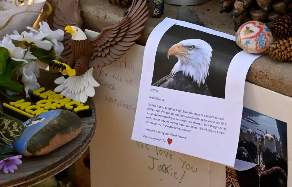 Items and messages left at a memorial for Big Bear...