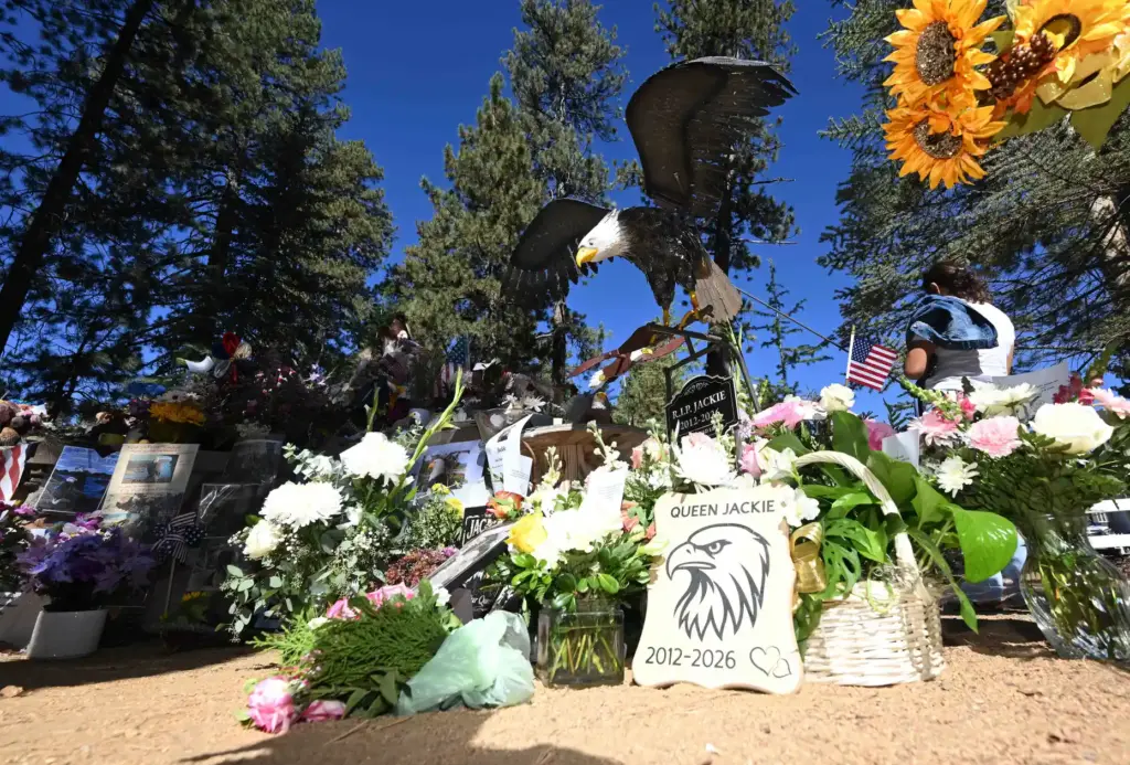 Items are seen at a memorial prior to a memorial...