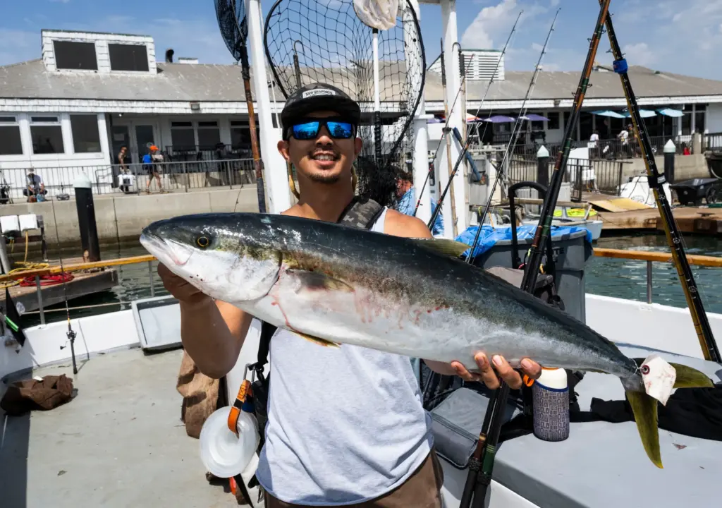 Joseph Harker of Irvine shows the yellowtail he caught while...