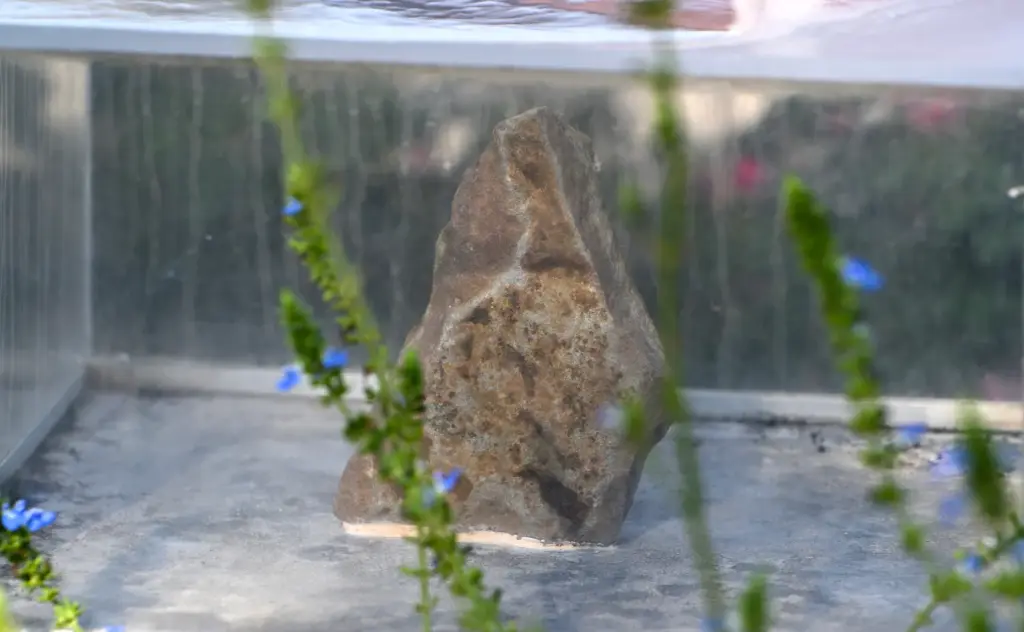 a piece of Pennsylvania sandstone from the grove next to...