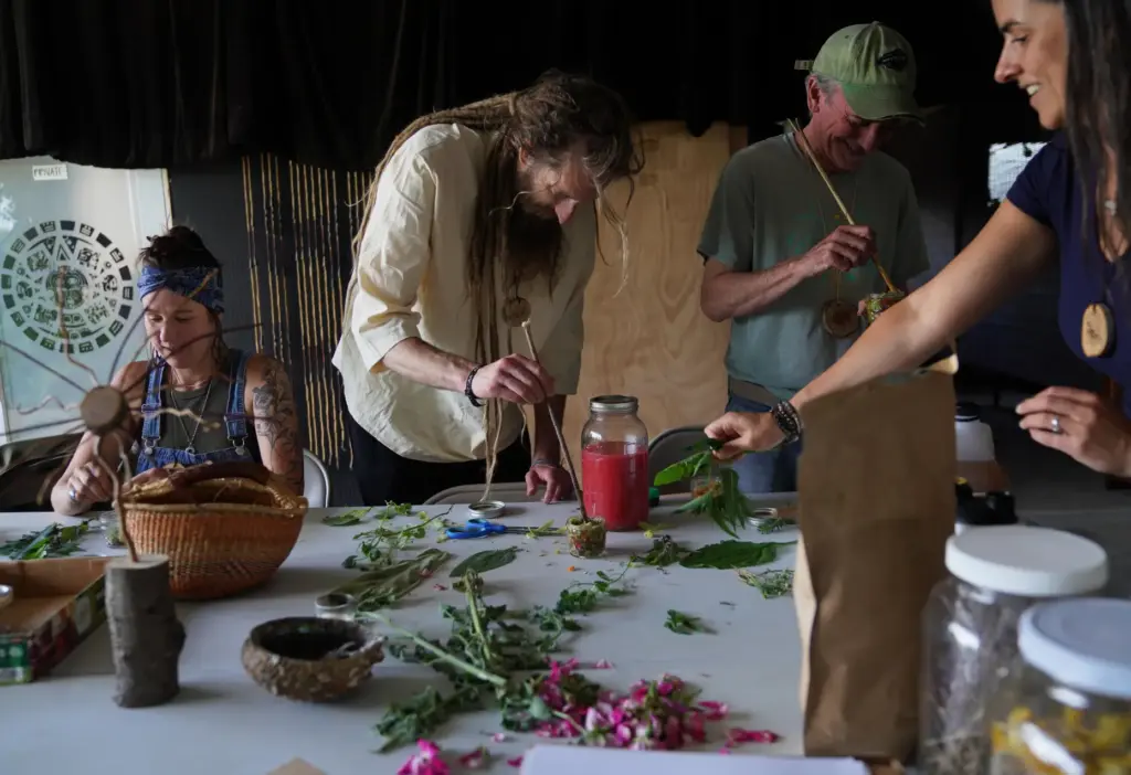Guests mix herbal oxymels, glycerites and tinctures.