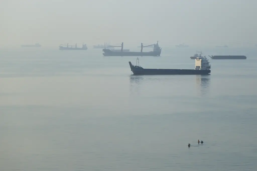 People wade in the water as cargo ships are anchored in the Strait of Hormuz.