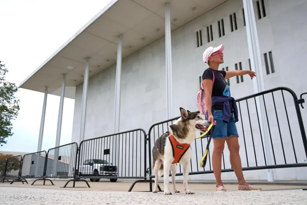 Quynh Pham of Washington, and her dog Jay, look at...