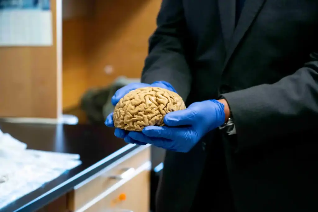 Senator Alex Padilla handles a brain during his tour of...