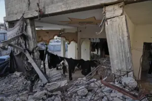Fatal building collapse highlights dangers plaguing Gaza nearly a year after ceasefire