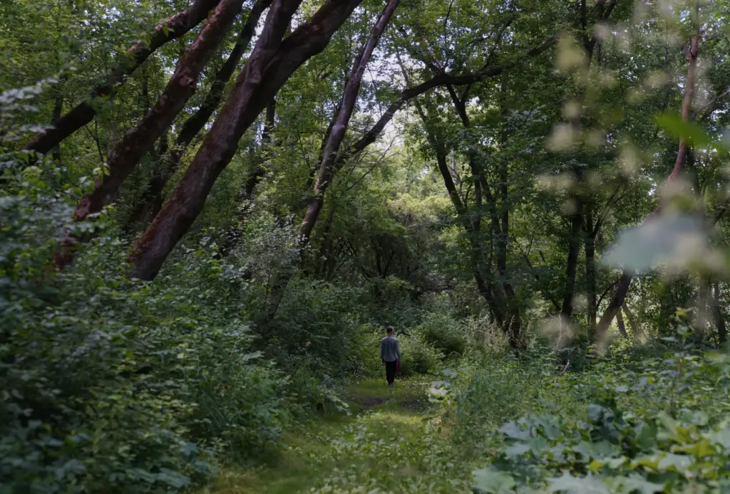 A guest takes a nature walk at Organic Compound.