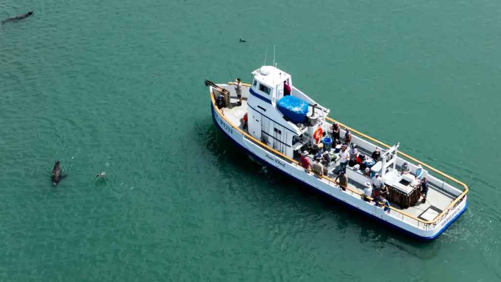 Reel Fun leaves Dana Wharf Sportfishing in Dana Point for...
