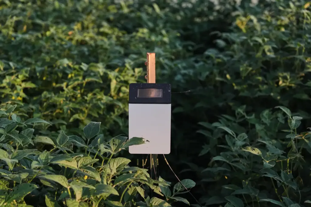 A device measures carbon levels in soil.