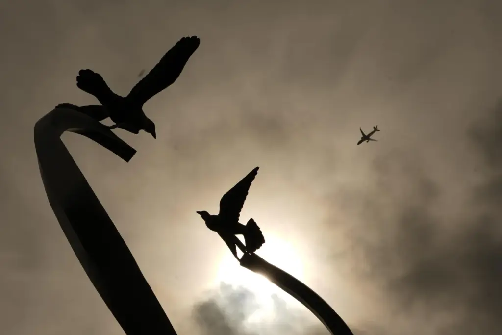 A plane flies above a sculpture of ascending doves.