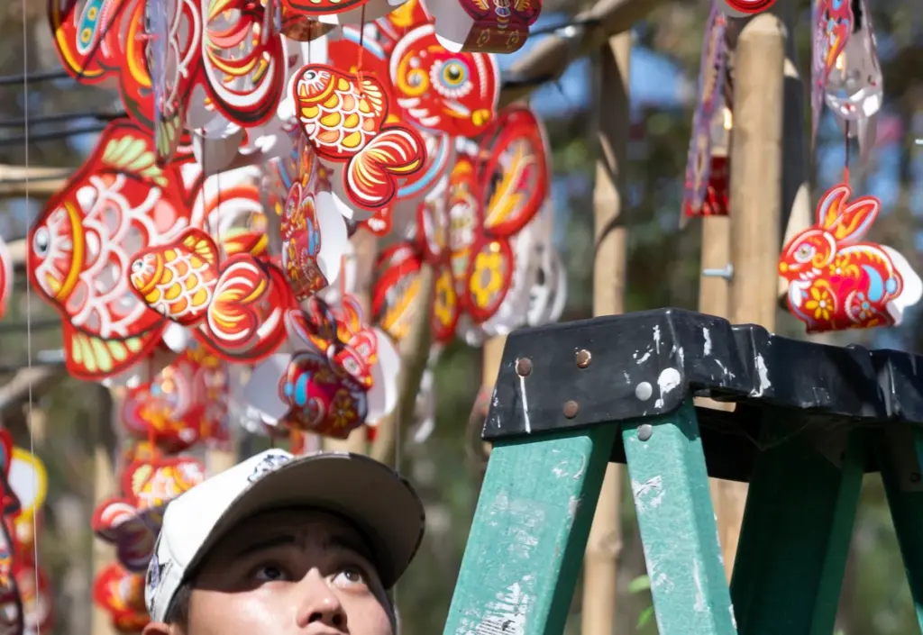 Dau Sin hangs lanterns at the Lantern Walk during the...