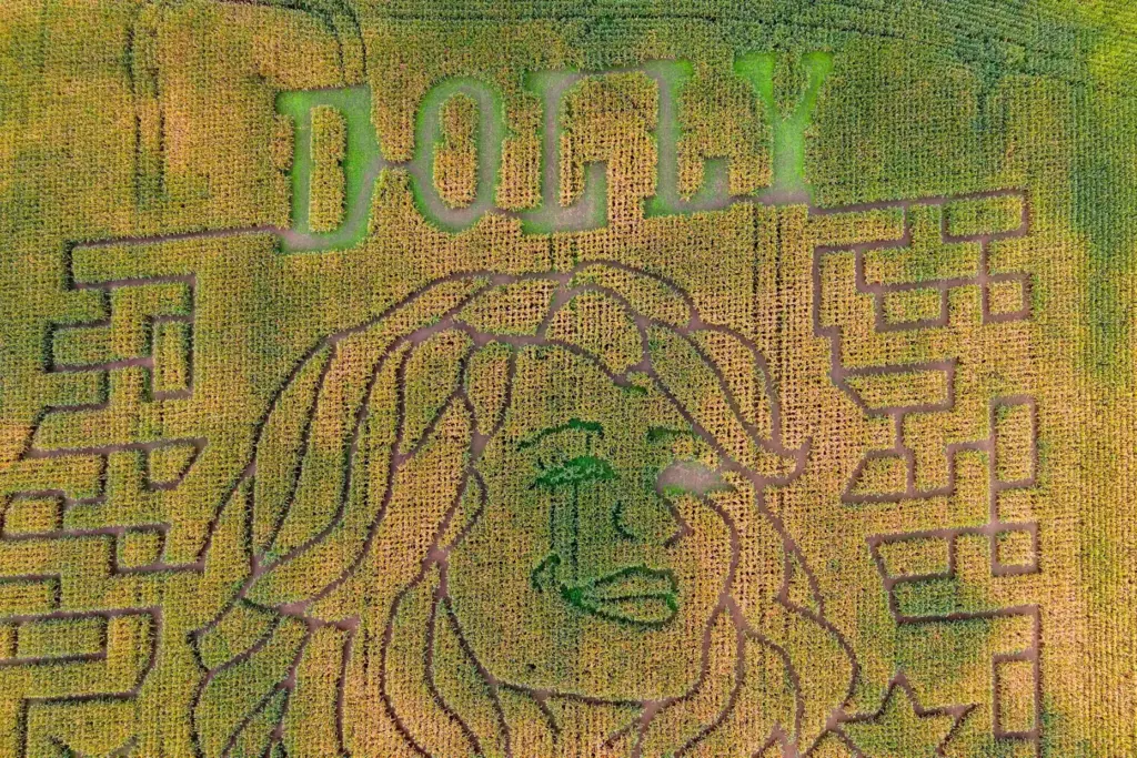A portrait of Dolly Parton fills a 5-acre corn maze...
