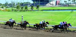 Los Alamitos consensus picks for Sunday, September 13, 2026