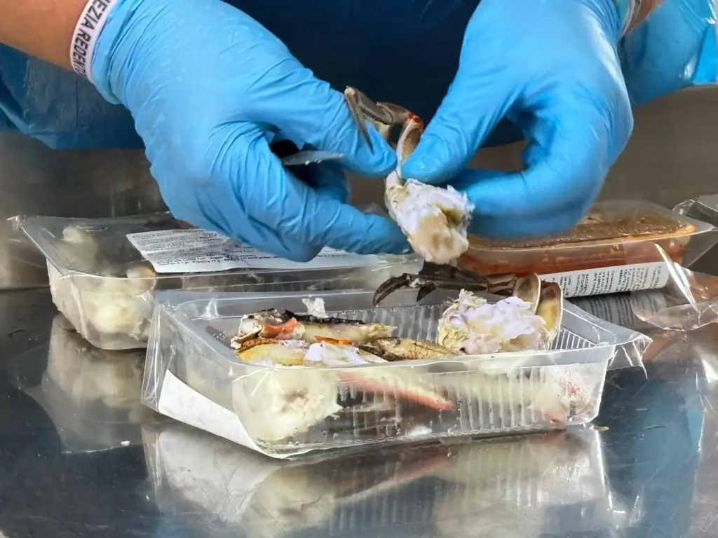 Stefania Marchesini prepares crabs fished fresh from the local Scardovari Lagoon.