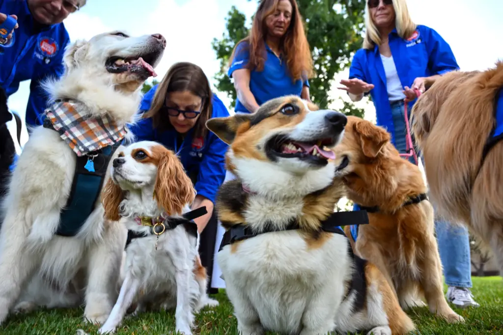 Chrissy, 10, left, Lady, 4, Margaret, 4, Freddie, 7, and...