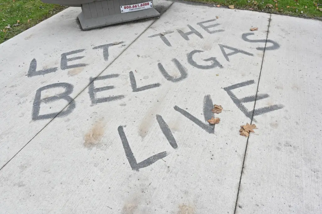 Graffiti on a sidewalk in front of the closed Marineland...