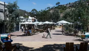 As Promenade on Forest is completed, businesses in the Laguna Beach downtown celebrate