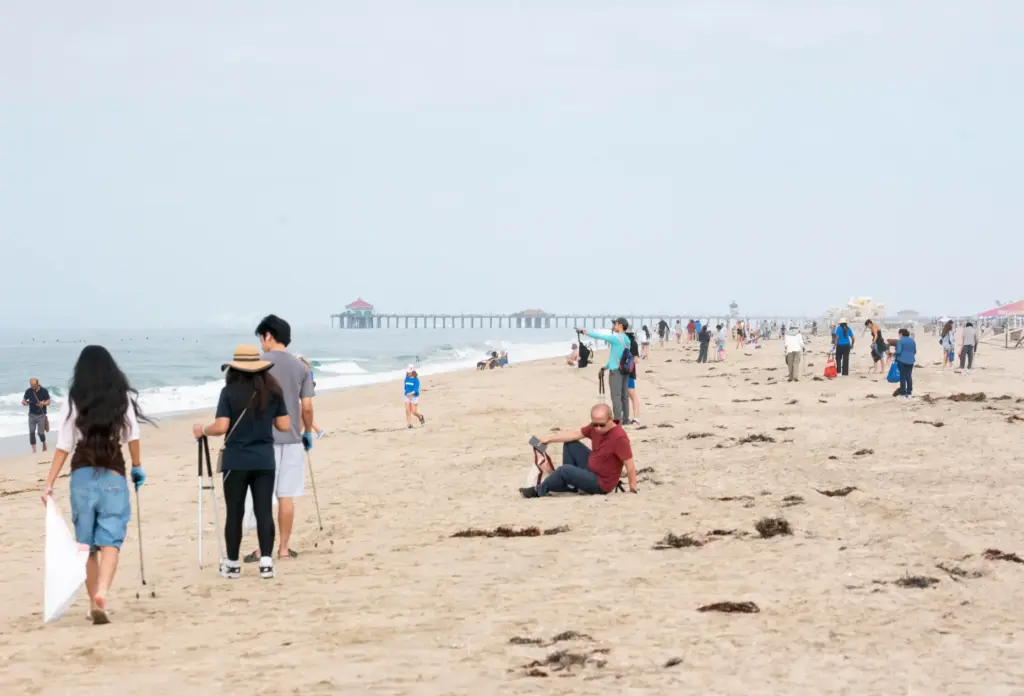 Volunteers comb through Huntington State Beach during California Coastal Cleanup...