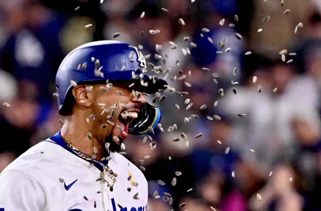 Dodgers shortstop Mookie Betts is showered with sunflower seeds by...