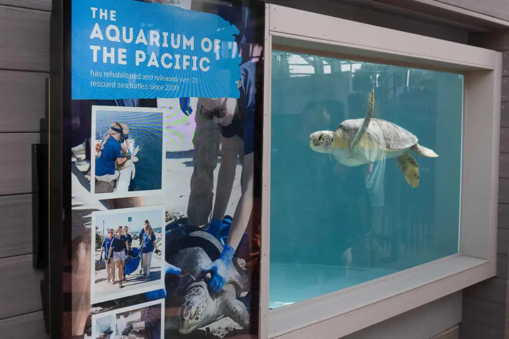 The Aquarium of the Pacific celebrates the grand opening of...