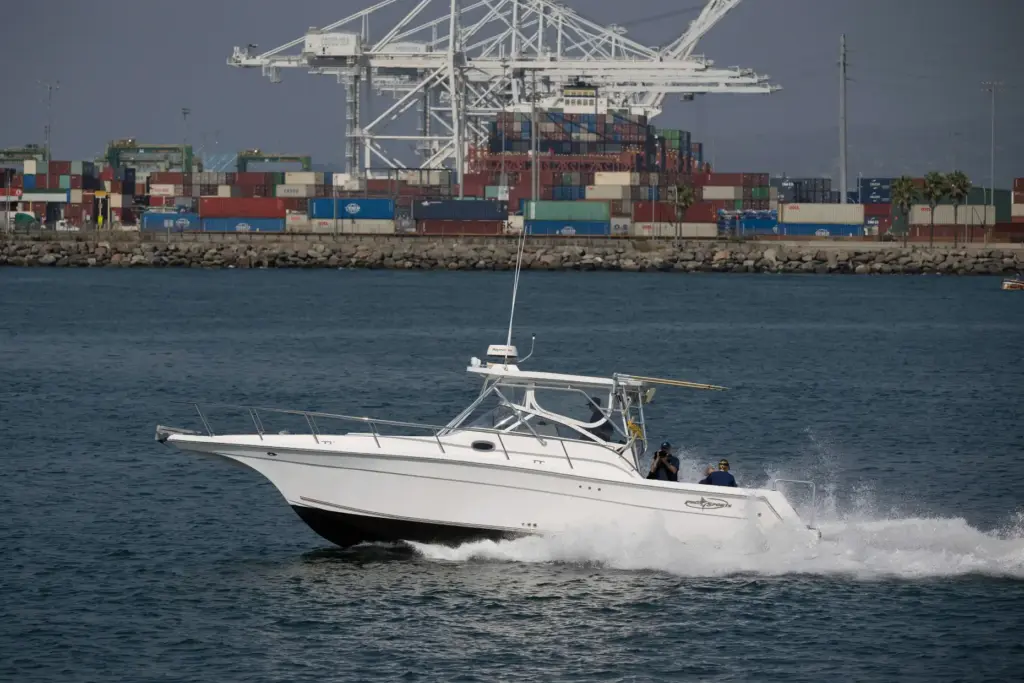 The Aquarium of the Pacific transports a rehabilitated olive ridley...