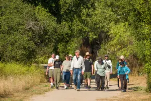 Deadline extended to weigh in on discussion about more roads in federal forests