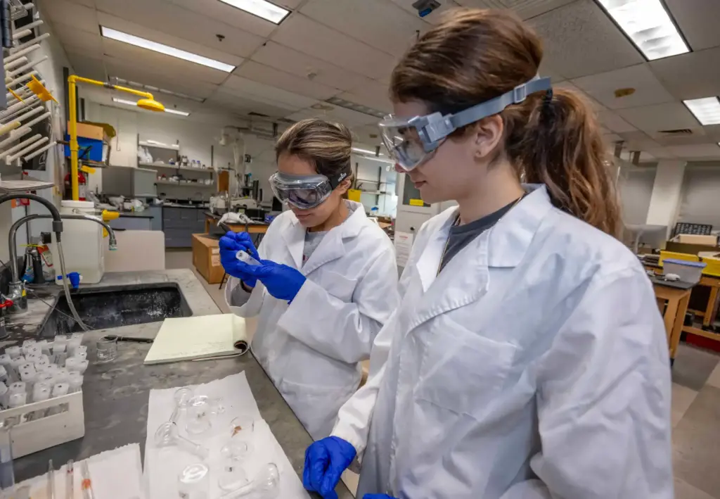 Cal State Fullerton biochemistry students Anita Abazi, right, and Angela...