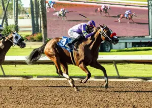 Man O Rose wins again at Los Al, ends rider’s drought