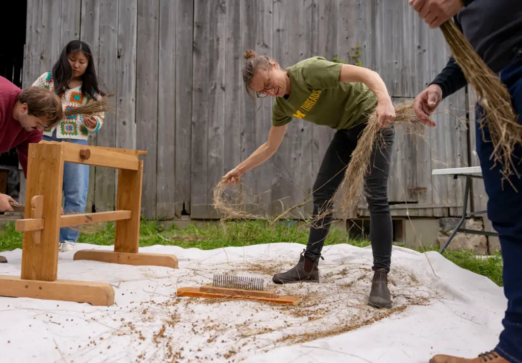 Melissa Duhaime, right, hand processes recently harvested flax straw to...