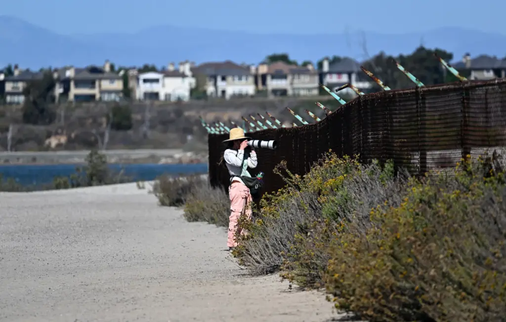 A visitors to the Bolsa Chica Wetlands takes pictures in...