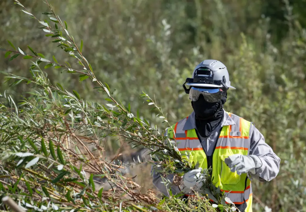 Workers clear the San Juan and Trabuco Creek flood control...