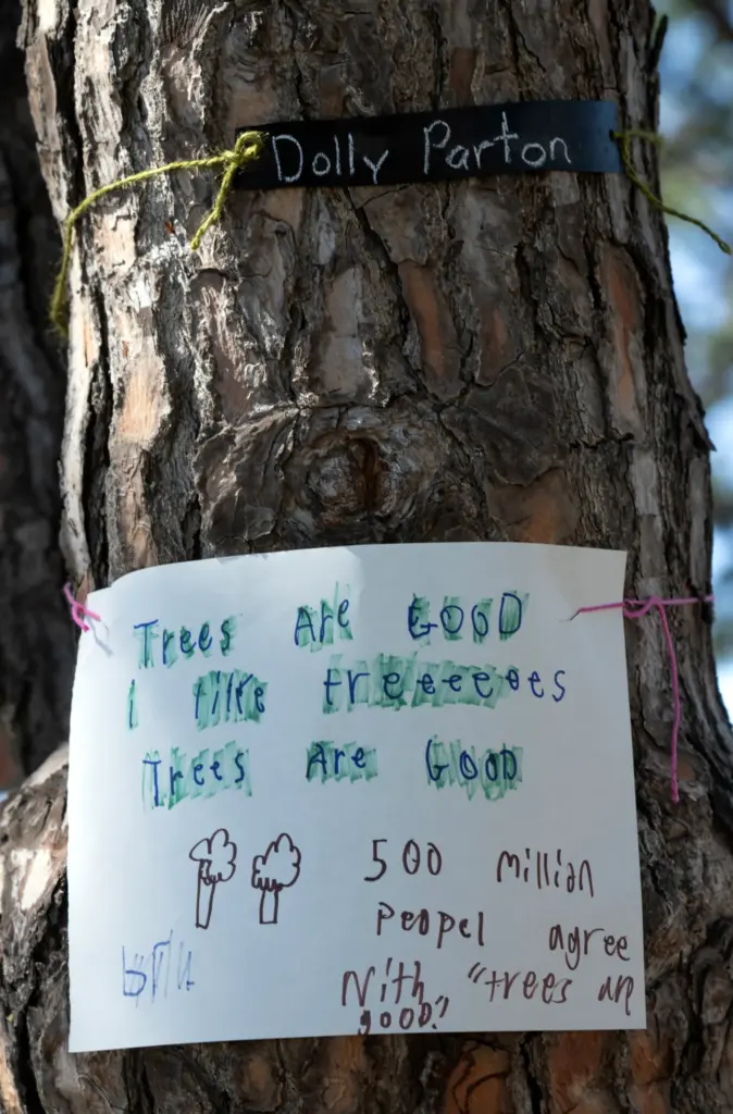 Angry Dana Point residents hang signs on stone pines at...