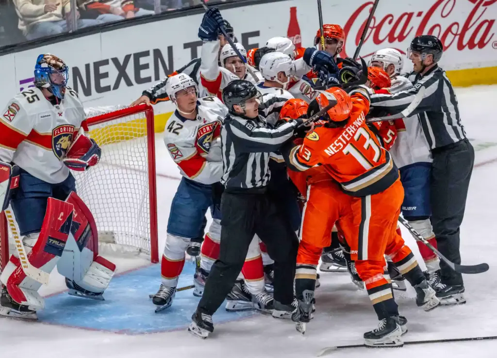 Ducks and Florida Panthers players tussle in front of the...