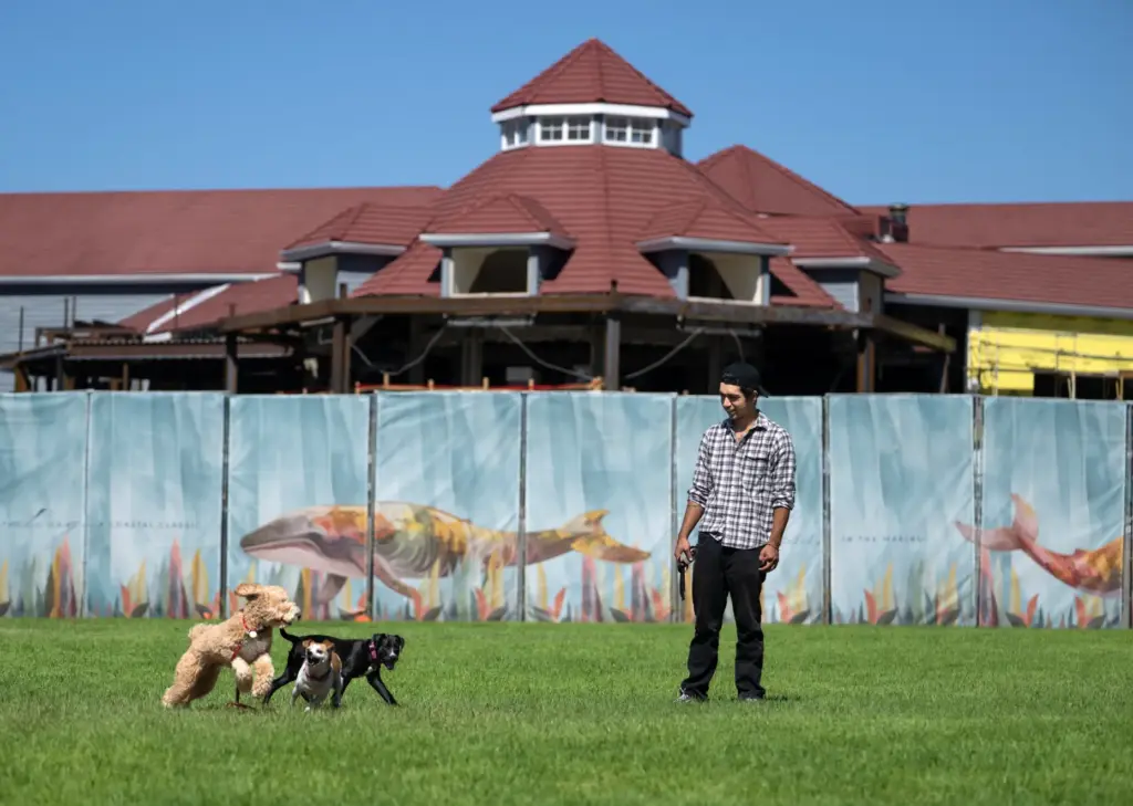 Alexander Guzman, 23, enjoys some time at Lantern Bay Park...