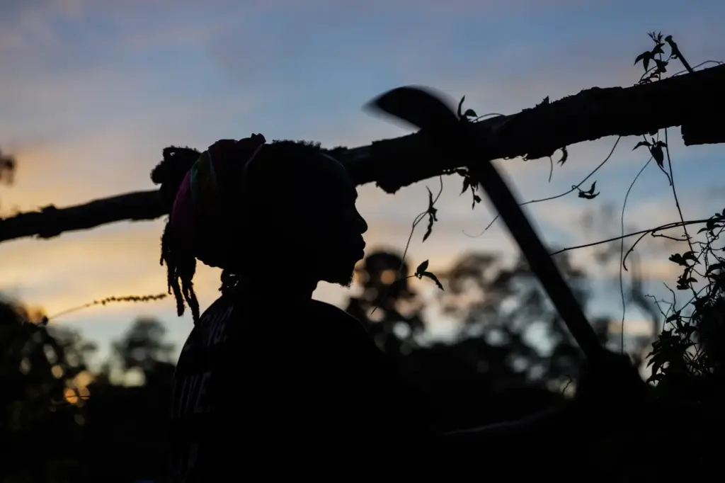 Dennis Adipi, a member of the Saamaka community, makes a...