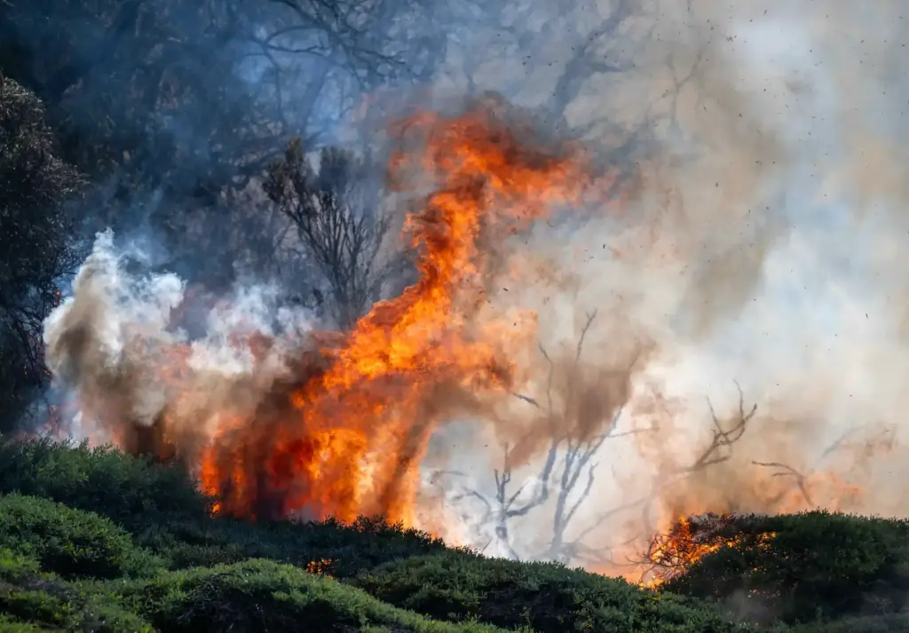 Flames from the Norte Fire burn vegetation on the north...