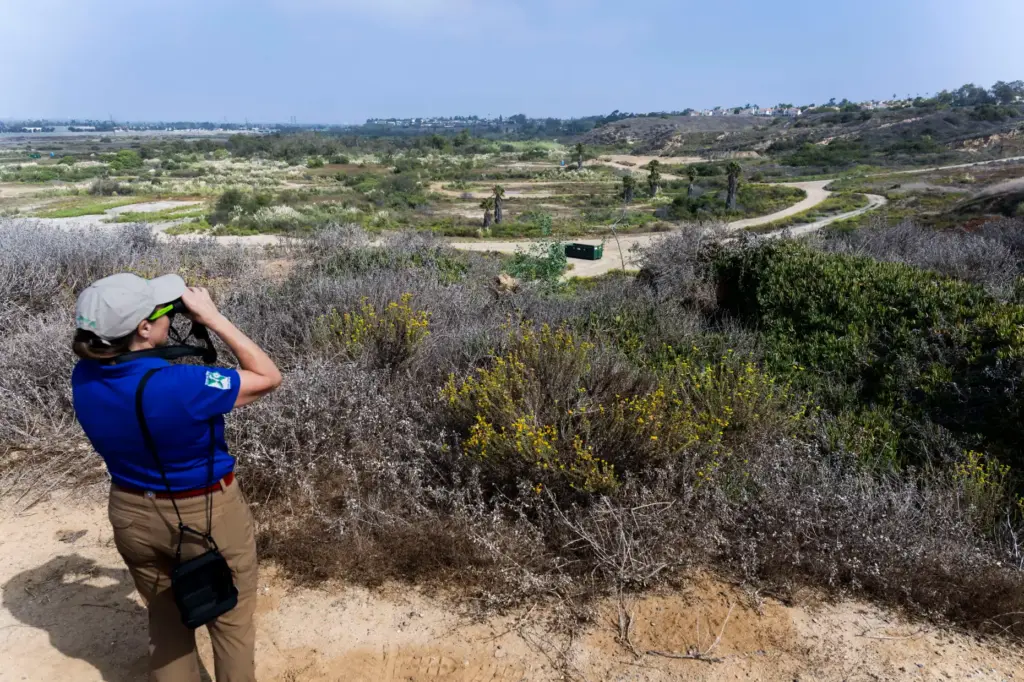 A woman takes in the view from the vista outlook...