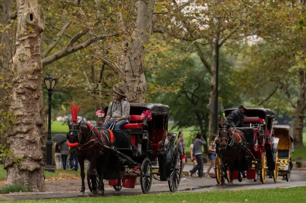 Horse-drawn carriages offer trips through through Central Park, Wednesday, Oct....