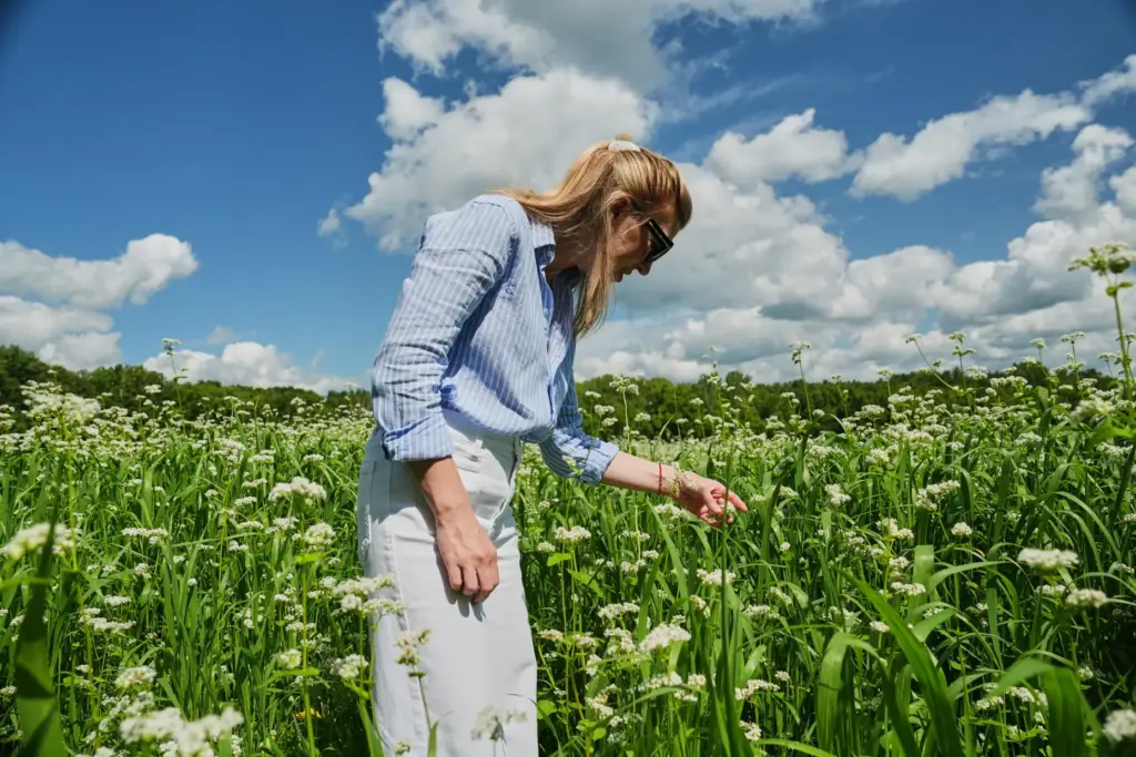 Paige Hansen, founder of food company BAM the Brand, looks at growing buckwheat.