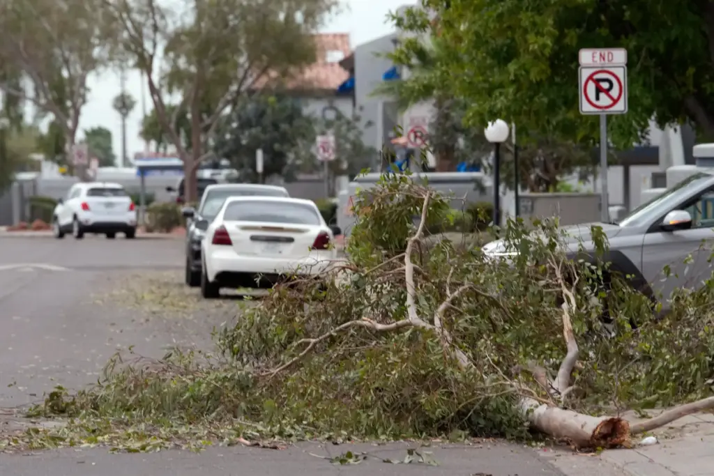 Tree debris obstructs part of a street as storms caused...
