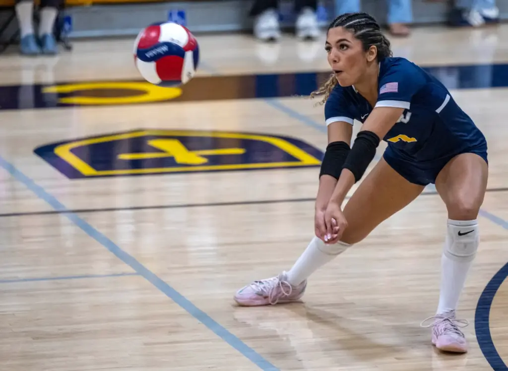 Crean Lutheranâs Ayla Foroutan (7) digs the ball during a...