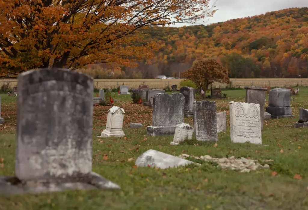 Gravestones in the Rupert Street Cemetery in Rupert, Vt., are...