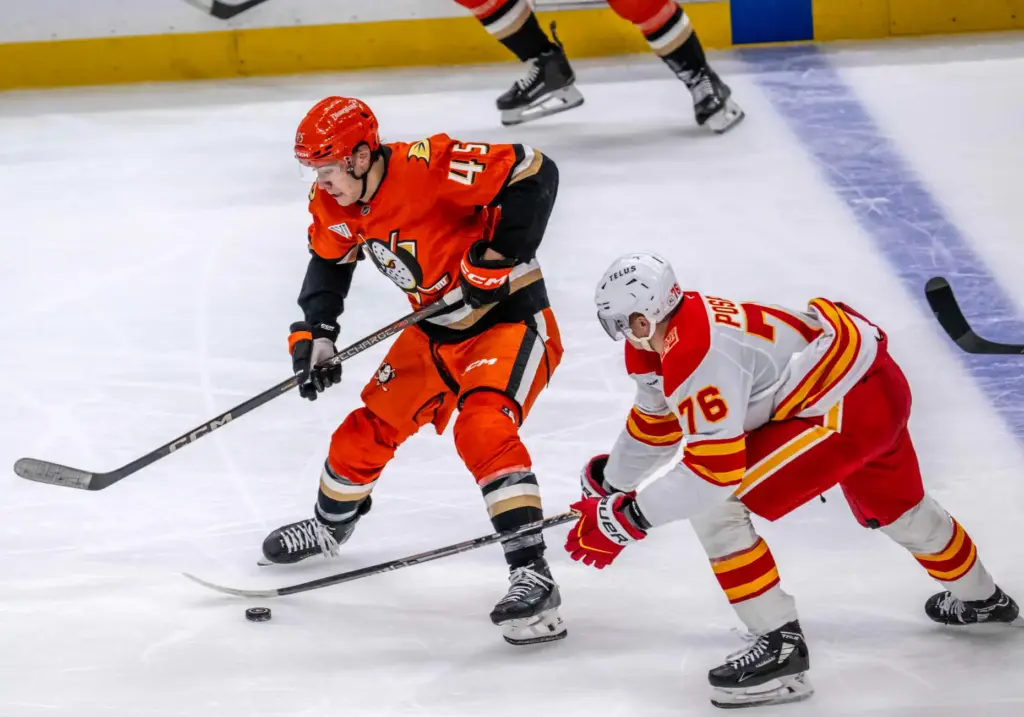 The Ducksâ Beckett Sennecke, left, and the Calgary Flamesâ Martin...