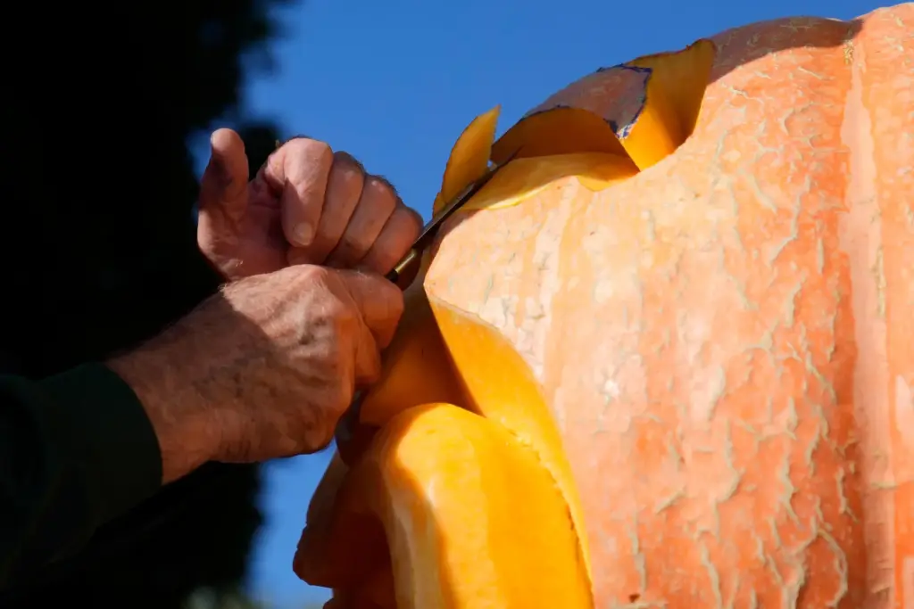 Farmer Mike Valladao carves a pumpkin at the Safeway World...